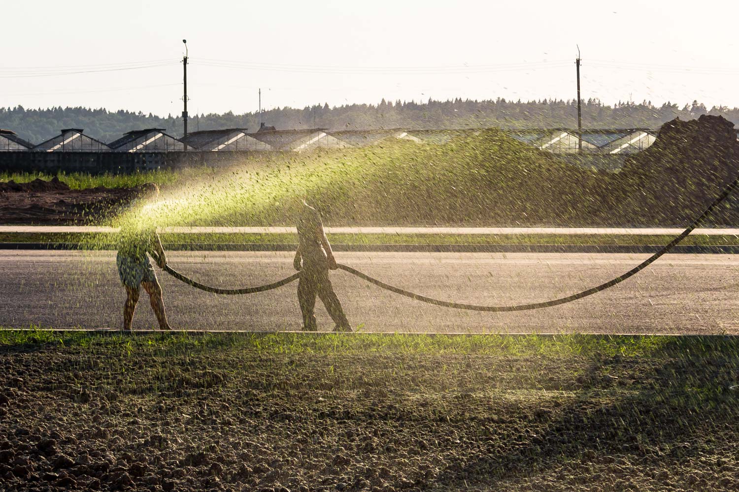 hydroseeding-portfolio